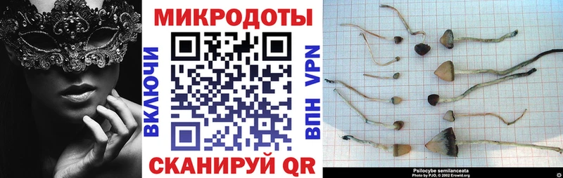 Псилоцибиновые грибы MAGIC MUSHROOMS  маркетплейс формула  Лосино-Петровский 